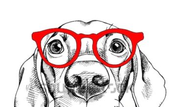 Πήρα κόκκινα γυαλιά κι όλα γύρω σινεμά…